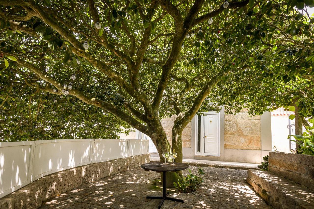 Willa Casa De Ferreira Cinfães Zewnętrze zdjęcie